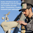 Dados climáticos da sua propriedade rural em tempo real na palma da mão. Saiba exatamento o melhor momento para aplicações. 